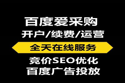 百度推广代运营案例：案例分享：打造行业领军品牌